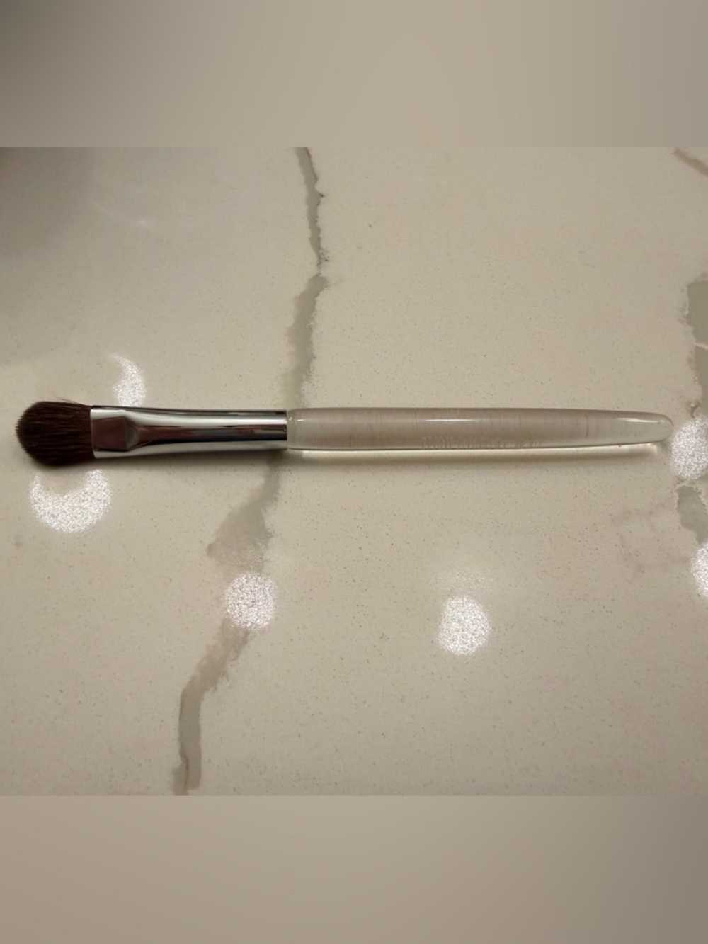 Brand New Trish McEvoy Medium Laydown Brush